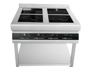 Double Burners Commercial Induction Hob with Electric Stove LT-B300II+DTLII